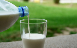 В Волгоградской области производство молока выросло на 14,4%