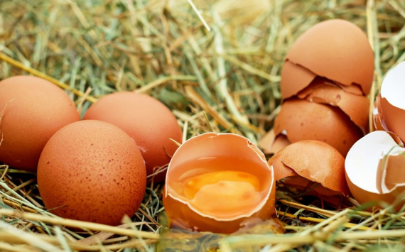 В Волгоградской области производство яиц выросло на 2%