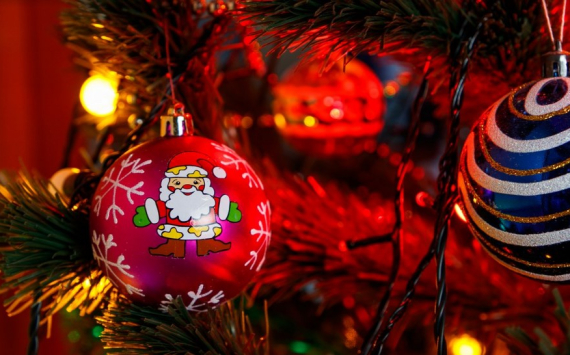 В Волгоградской области спрогнозировали подорожание новогодних елок