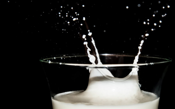 В Волгоградской области производство молока выросло на 2,3%