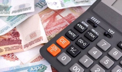 Волгоградские работодатели задолжали почти 230 млн рублей социальных взносов