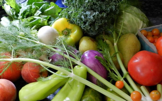 В Волгоградской области сельскохозяйственные продукты подешевели почти на 8%