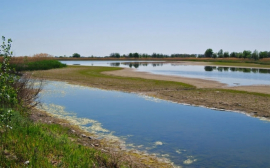 В июле начнётся восстановление четырёх водных объектов Волго-Ахтубинской поймы