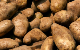 Волгоградский фермер Прошаков назвал причину роста цен на картофель
