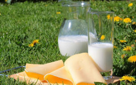 В Волгоградской области самозанятые производители молока смогут получать субсидии