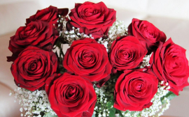В Волгоградской области назвали стоимость цветов на День матери
