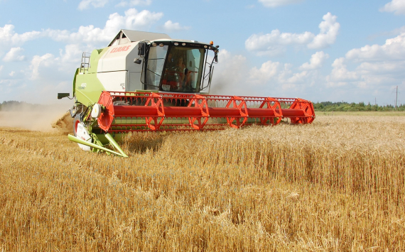 Волгоградские аграрии собрали три миллиона тонн зерна