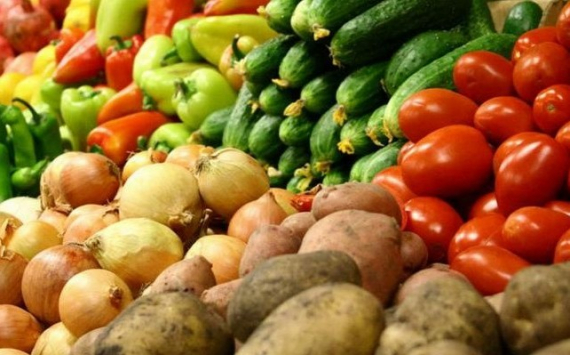 Волгоградские сельскохозяйственные предприятия собрали 600 тыс. тонн овощей, картофеля и бахчевых культур