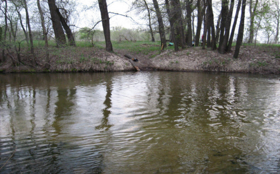 В Волгоградской области будет очищена река Арчеда