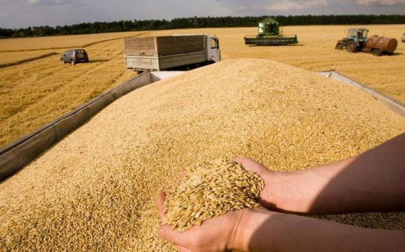 В 2019 году волгоградские аграрии экспортировали миллион тонн зерна
