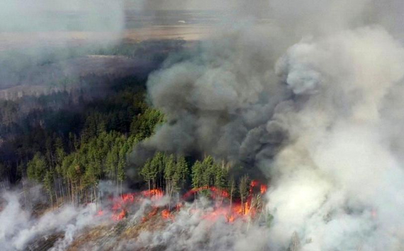 В волгоградском регионе продлён особый противопожарный режим в лесах