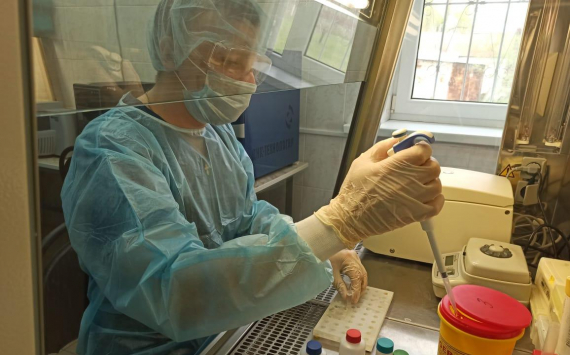 В волгоградском регионе заработают новые лаборатории для тестирования на коронавирус