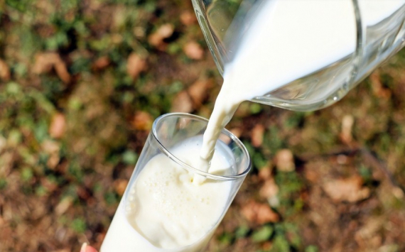 В Волгоградской области производство молока выросло на 3,4 тыс. тонн