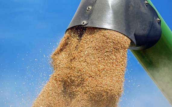 Волгоградские аграрии собрали 3 миллиона тонн зерна