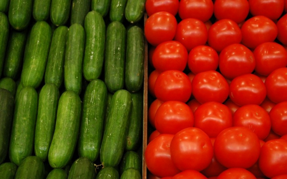 В Волгоградской области аграрии вырастили более 110 тыс. тонн овощей