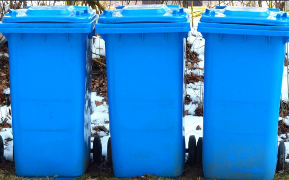 Власти Волгограда на 17 млн рублей покупают синие контейнеры для сбора мусора