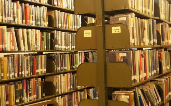 В Волгоградской области на книги для библиотек выделят более 13,5 млн рублей