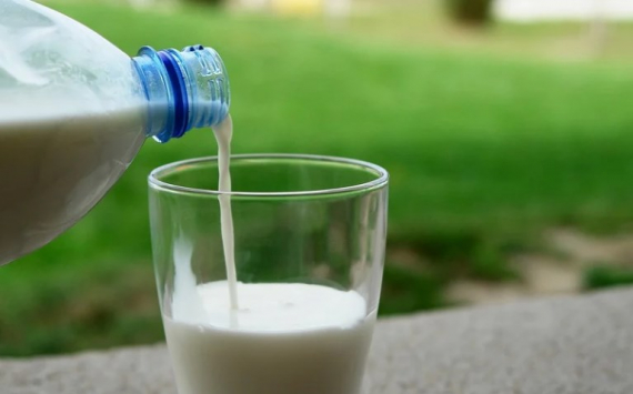 В Волгоградской области производство молока выросло на 20%