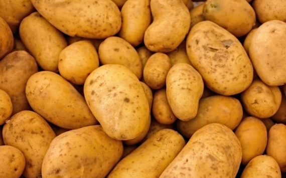 Фермер Прошаков назвал цены на волгоградский картофель самыми доступными