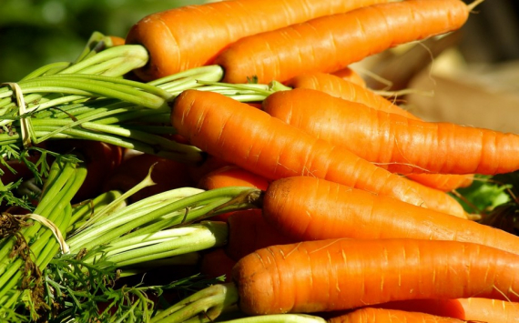 В Волгоградской области морковь продолжает стремительно дорожать