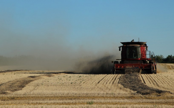В Волгоградской области фермеры получили на развитие 93,7 млн рублей