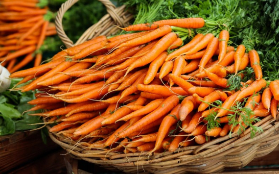 Волгоградские аграрии экспортировали 280 тонн моркови в Казахстан