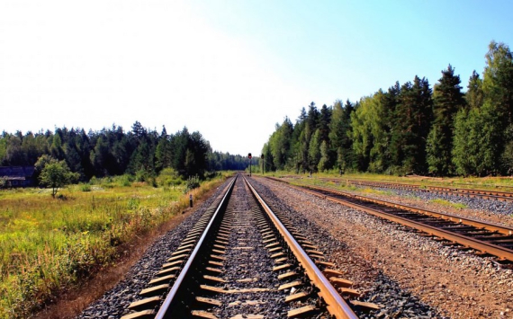 В Волгоградской области в железные дороги инвестируют 49 млрд рублей