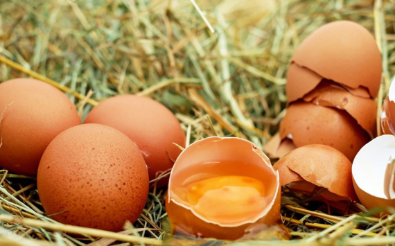 В Волгоградской области резко взлетели цены на куриные яйца