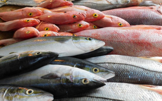 В Волгоградской области выросло производство рыбной продукции