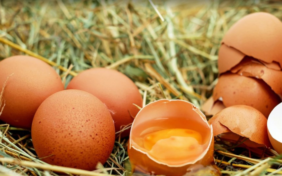 В Волгоградской области продолжают дорожать яйца