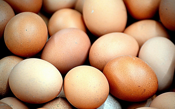 В Волгоградской области яйца начали дорожать в преддверии Пасхи