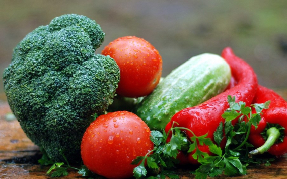 В Волгограде создадут центр селекции овощей