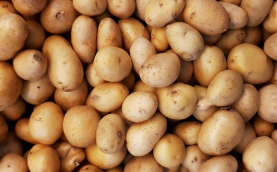 В Волгоградской области молодой картофель подорожал до 60 рублей