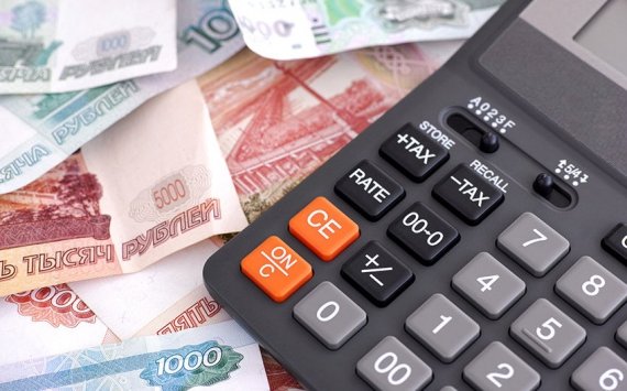 Волгоградские работодатели задолжали почти 230 млн рублей социальных взносов